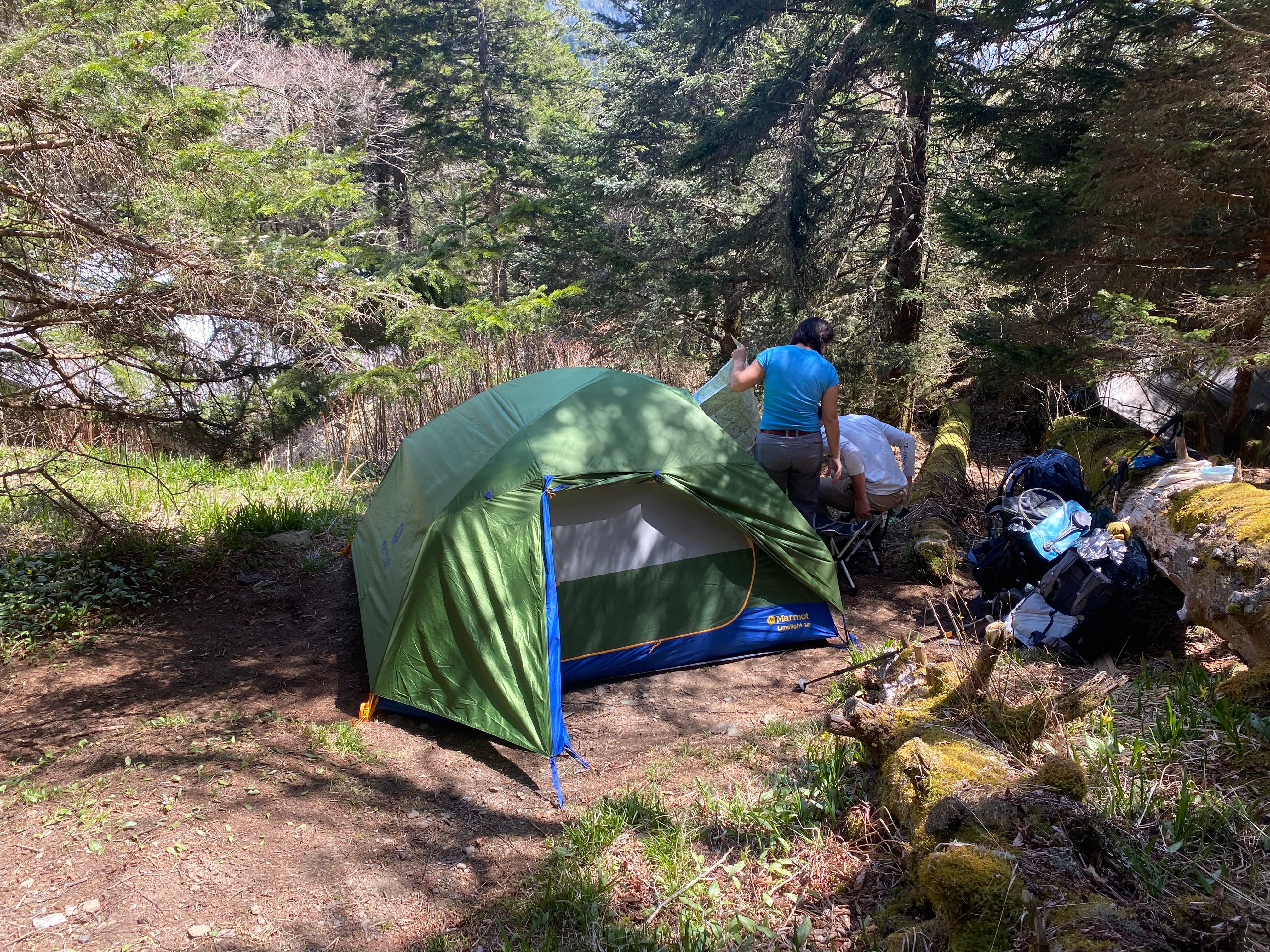 Camper submitted image from Tricorner Knob Shelter — Great Smoky Mountains National Park - 1
