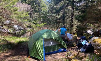 Camping near Cosby Campground — Great Smoky Mountains National Park: Tricorner Knob Shelter — Great Smoky Mountains National Park, Cosby, North Carolina