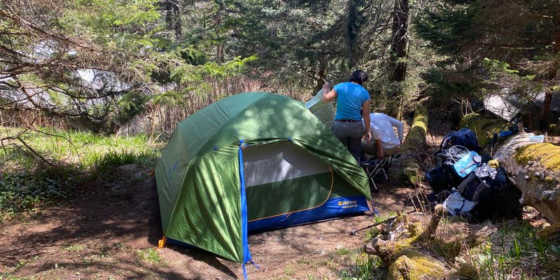 Camper submitted image from Tricorner Knob Shelter — Great Smoky Mountains National Park
