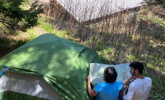 Asher K.'s photo of tent camping at Tricorner Knob Shelter — Great Smoky Mountains National Park near Sevierville, TN