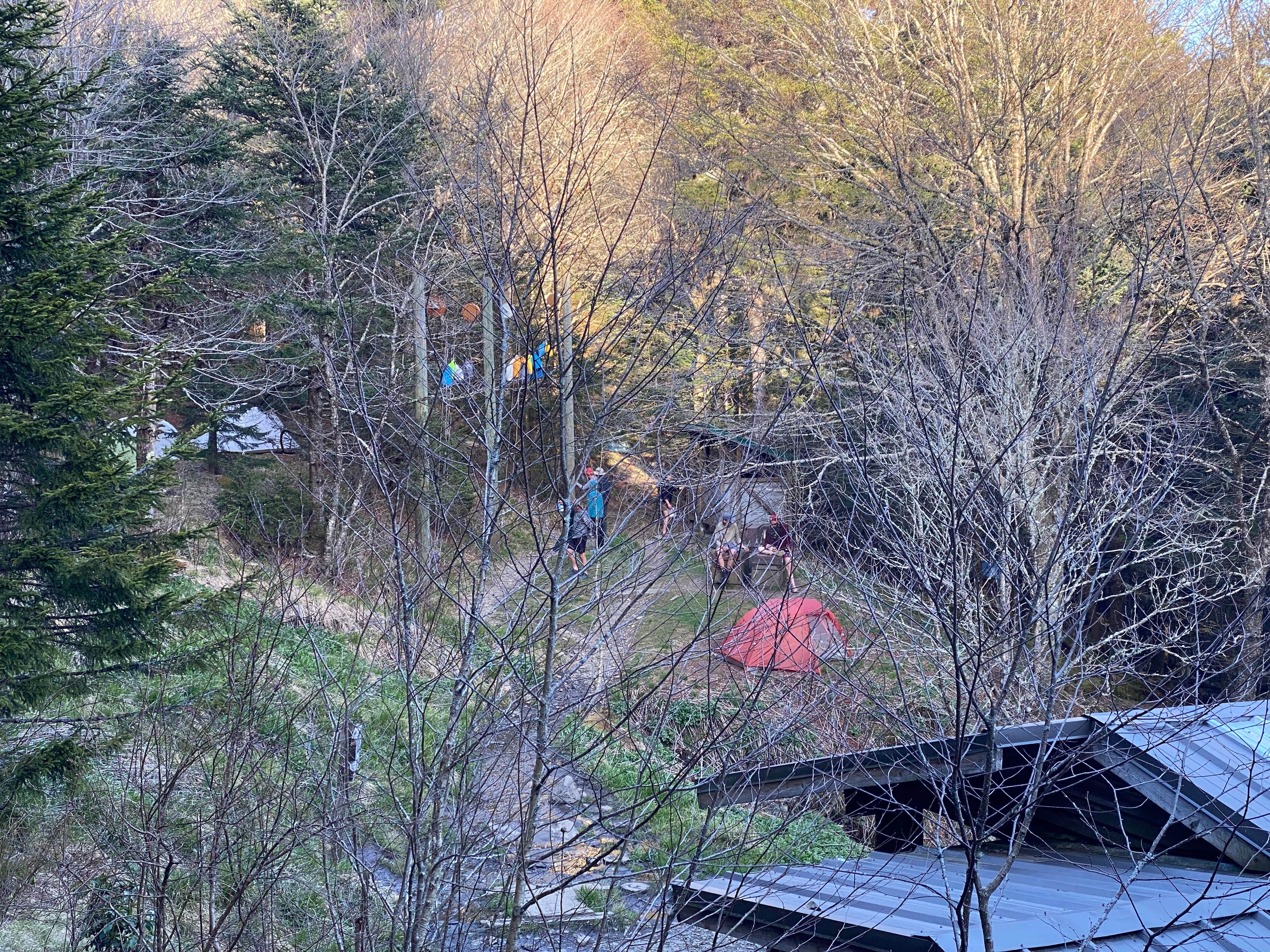 Camper-submitted photo at Tricorner Knob Shelter — Great Smoky Mountains National Park near Dandridge, TN