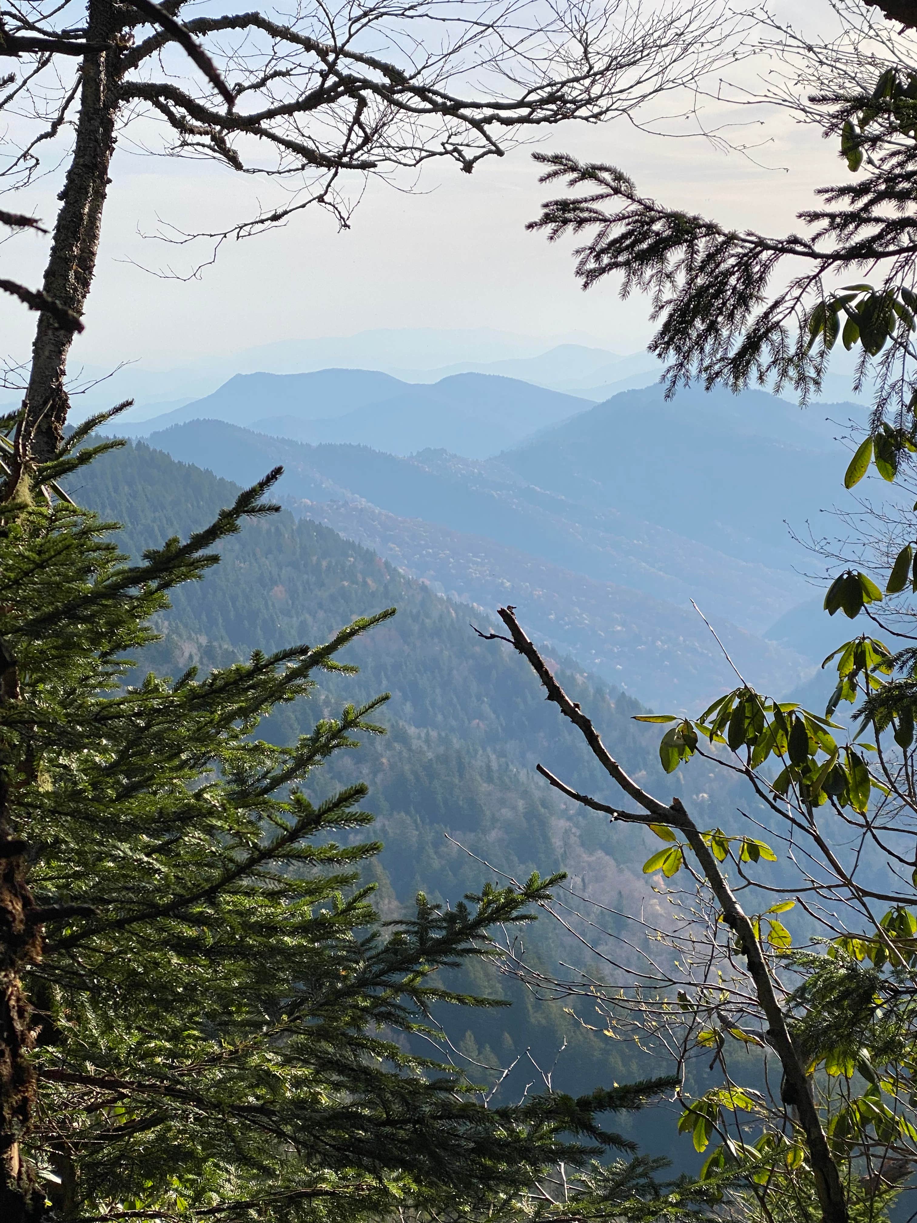Camper-submitted photo at Tricorner Knob Shelter — Great Smoky Mountains National Park near Dandridge, TN