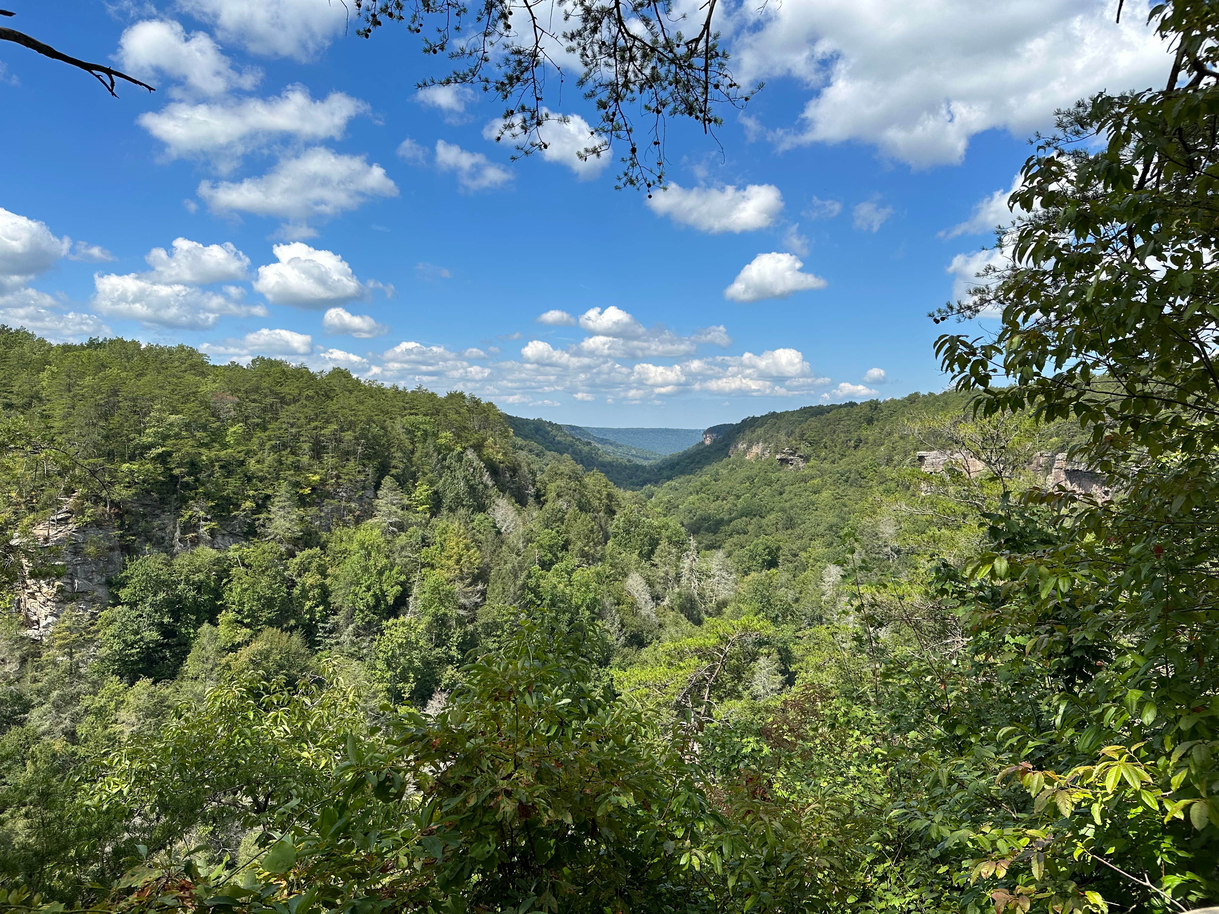 Camper-submitted photo at Savage Station near Dayton, TN