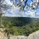 Review photo of Alum Gap Campground — Savage Gulf State Park by Asher K., October 1, 2023