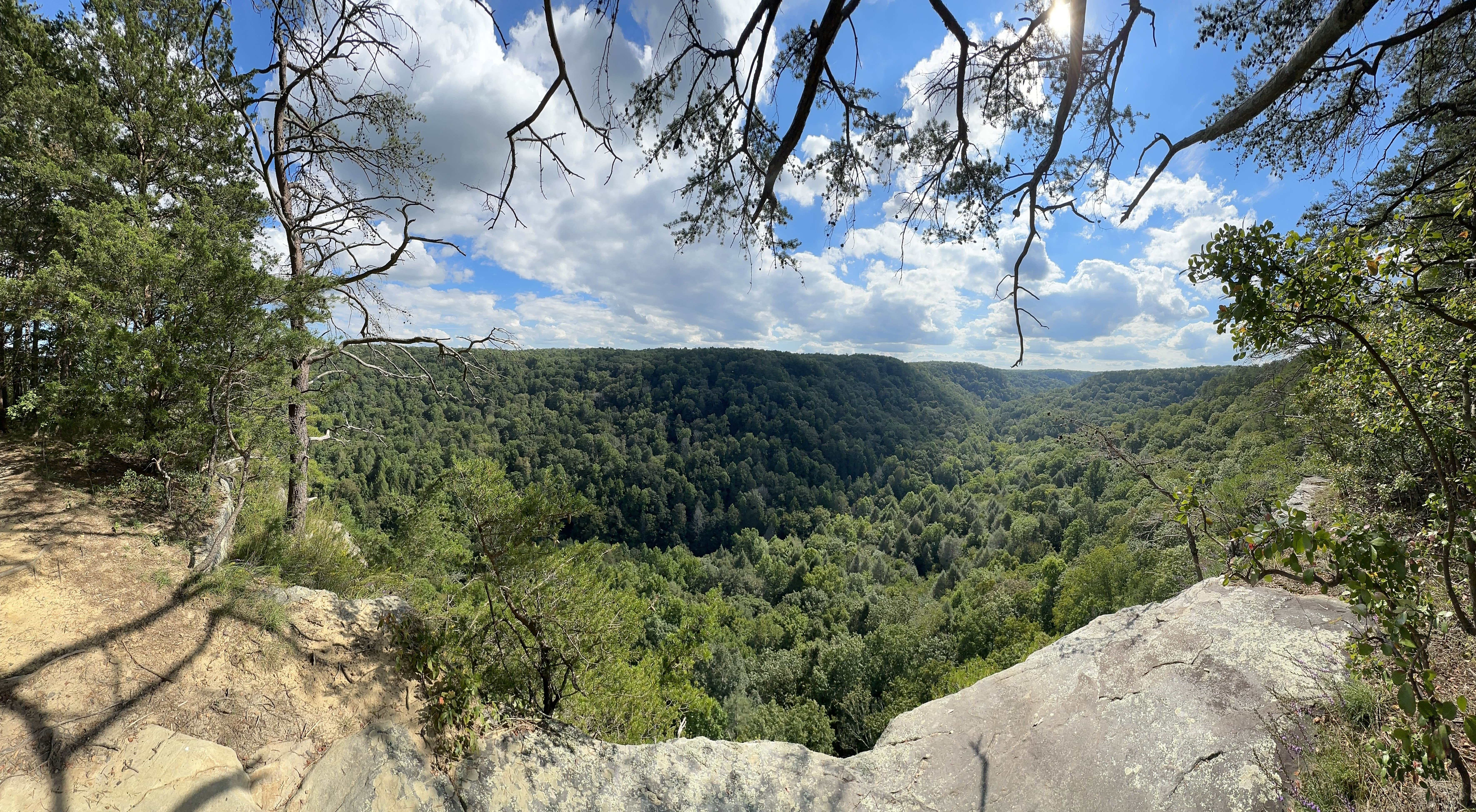 Camper submitted image from Alum Gap Campground — Savage Gulf State Park - 4