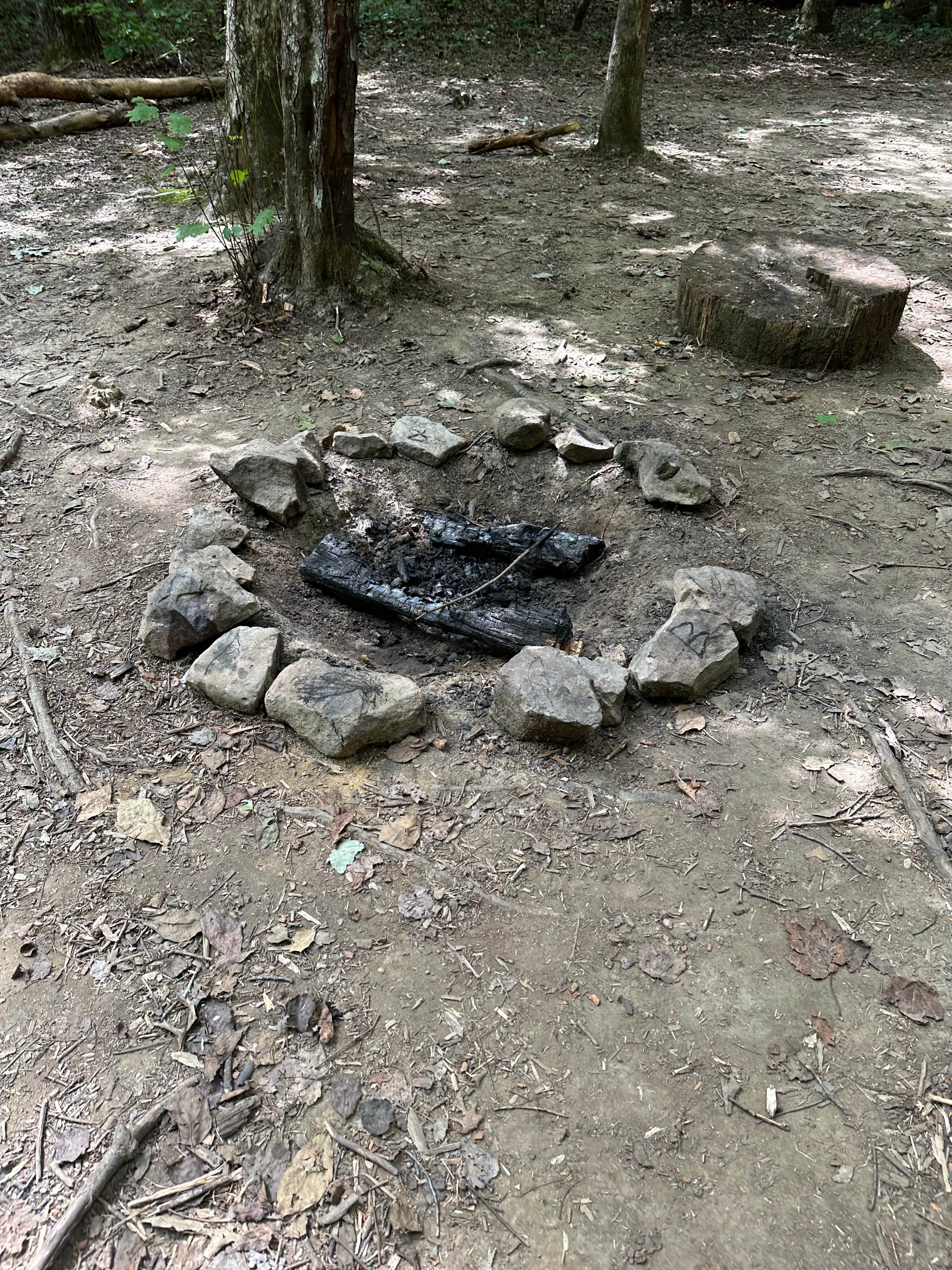 Camper-submitted photo at Savage Station near Dayton, TN