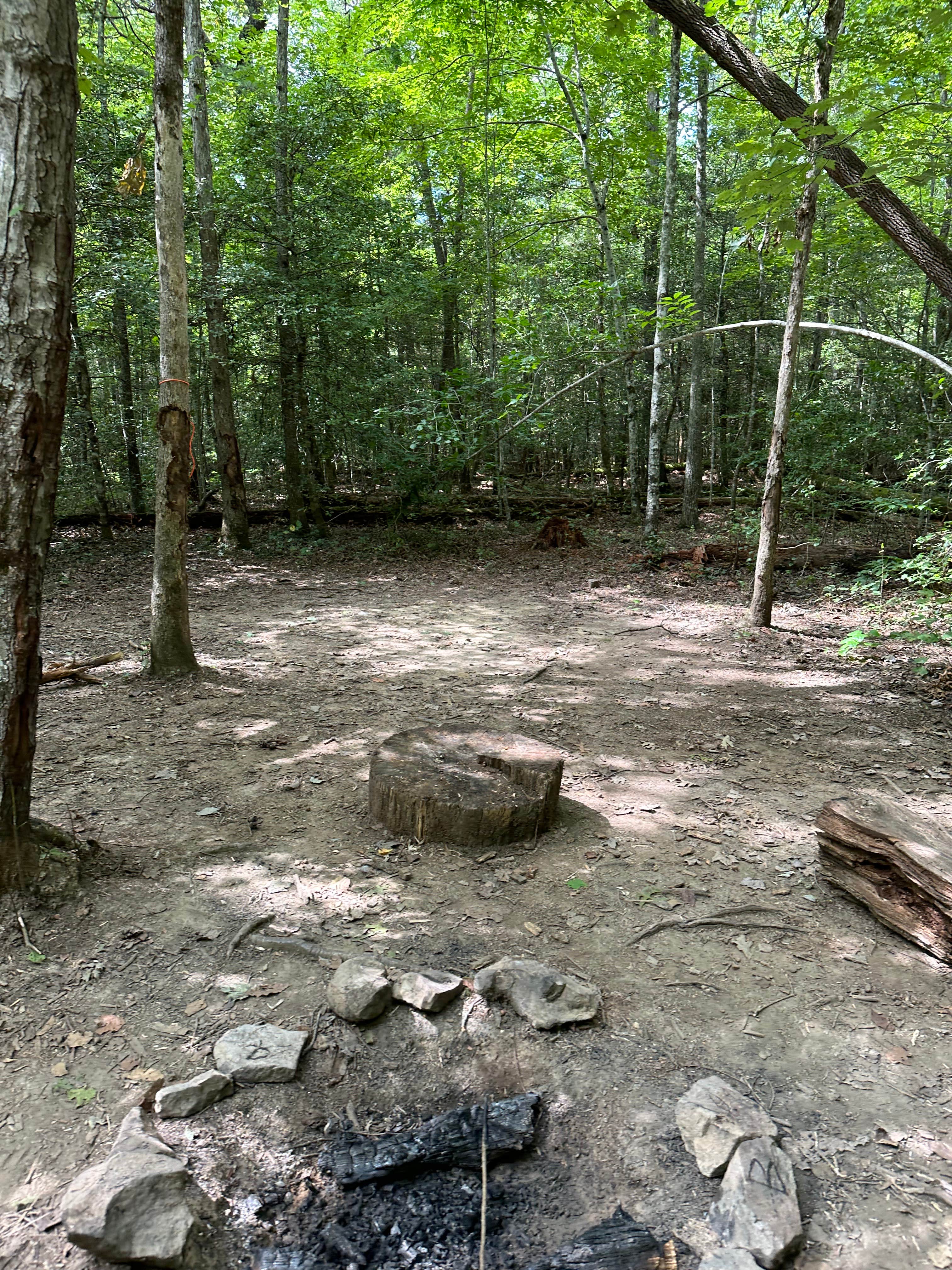 Camping near Alum Gap Campground — Savage Gulf State Park: Savage Station, Palmer, Tennessee