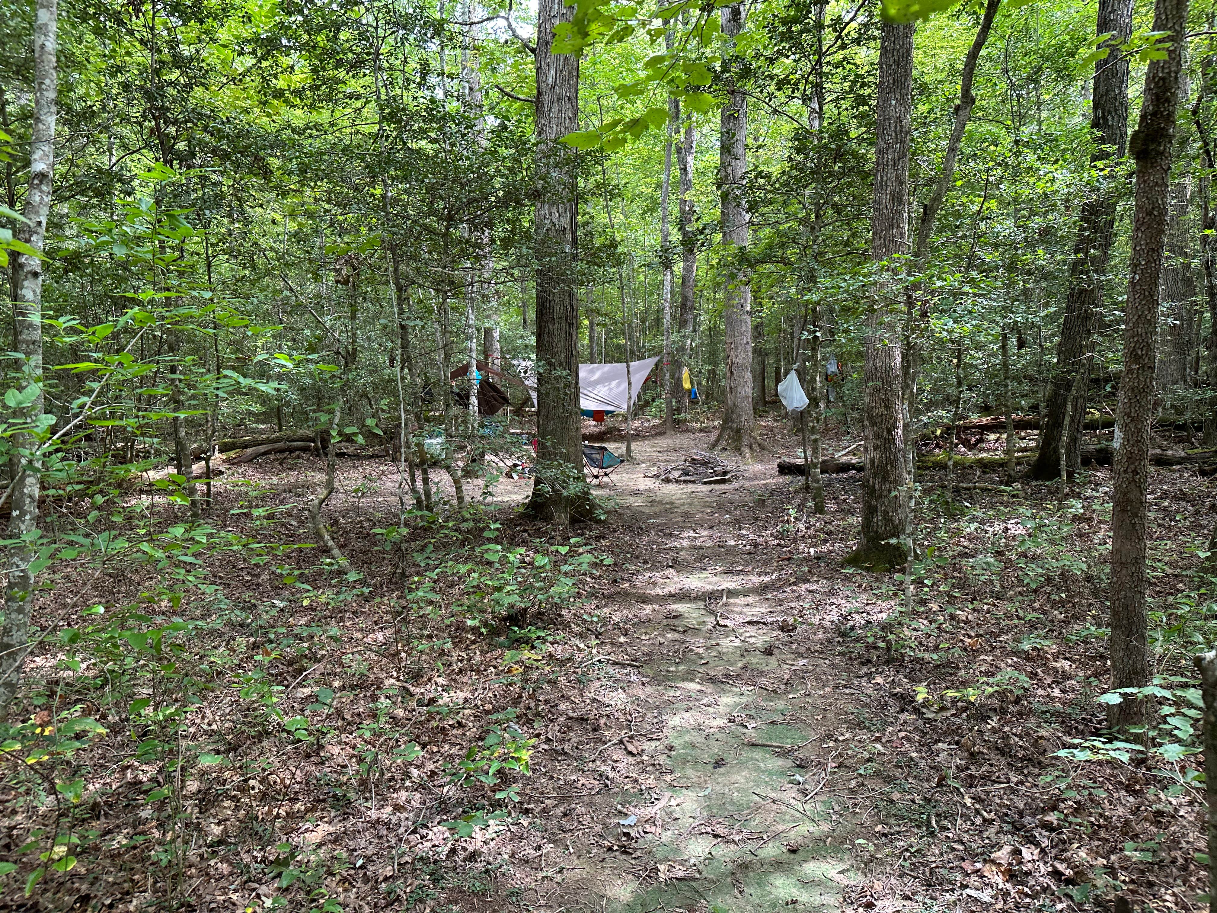 Asher K.'s photo of tent camping at Savage Station near Signal Mountain, TN