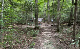 Asher K.'s photo at Savage Station near Gruetli-Laager, TN