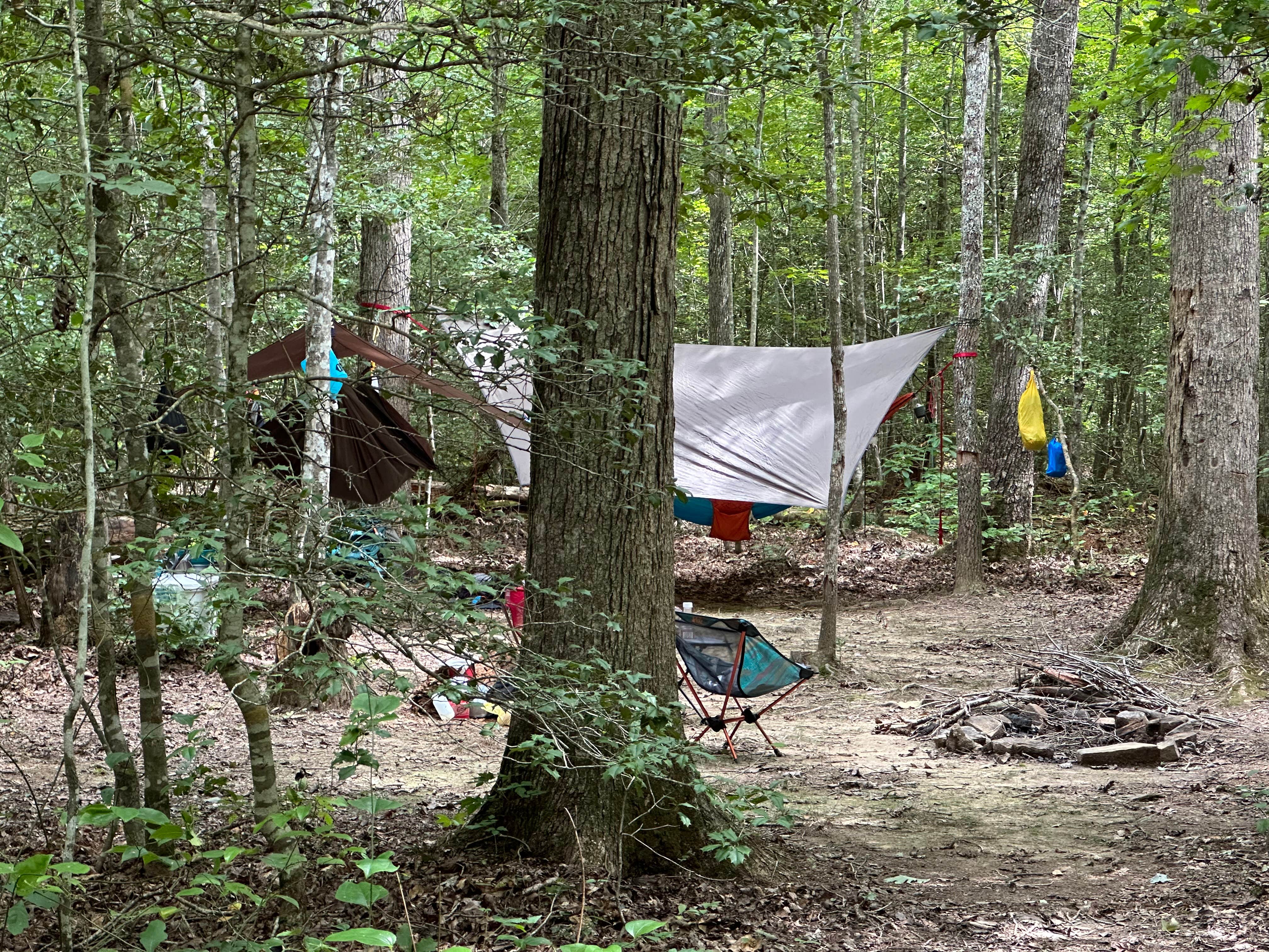 Camper-submitted photo at Savage Station near Dayton, TN
