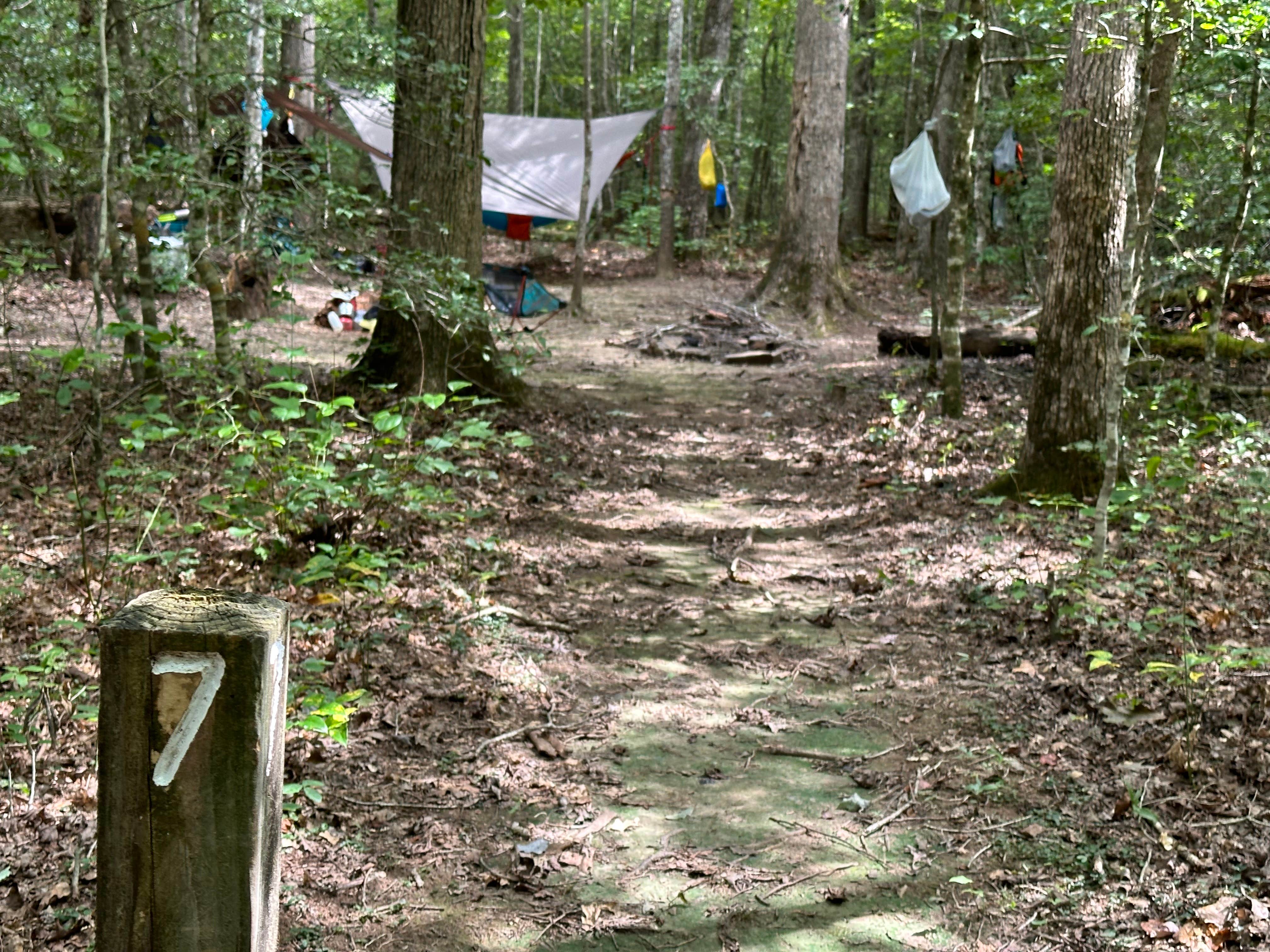 Asher K.'s photo at Savage Station near Palmer, TN