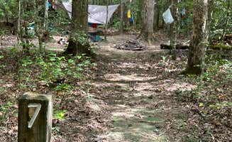 Asher K.'s photo at Savage Station near Palmer, TN