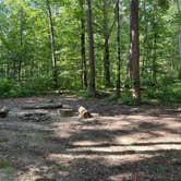 Review photo of Alum Gap Campground — Savage Gulf State Park by Asher K., October 1, 2023