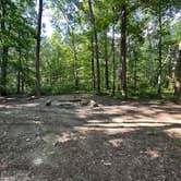 Review photo of Alum Gap Campground — Savage Gulf State Park by Asher K., October 1, 2023