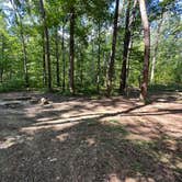 Review photo of Alum Gap Campground — Savage Gulf State Park by Asher K., October 1, 2023