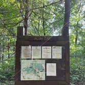 Review photo of Alum Gap Campground — Savage Gulf State Park by Asher K., October 1, 2023