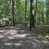 Review photo of Alum Gap Campground — Savage Gulf State Park by Asher K., October 1, 2023