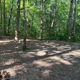 Review photo of Alum Gap Campground — Savage Gulf State Park by Asher K., October 1, 2023