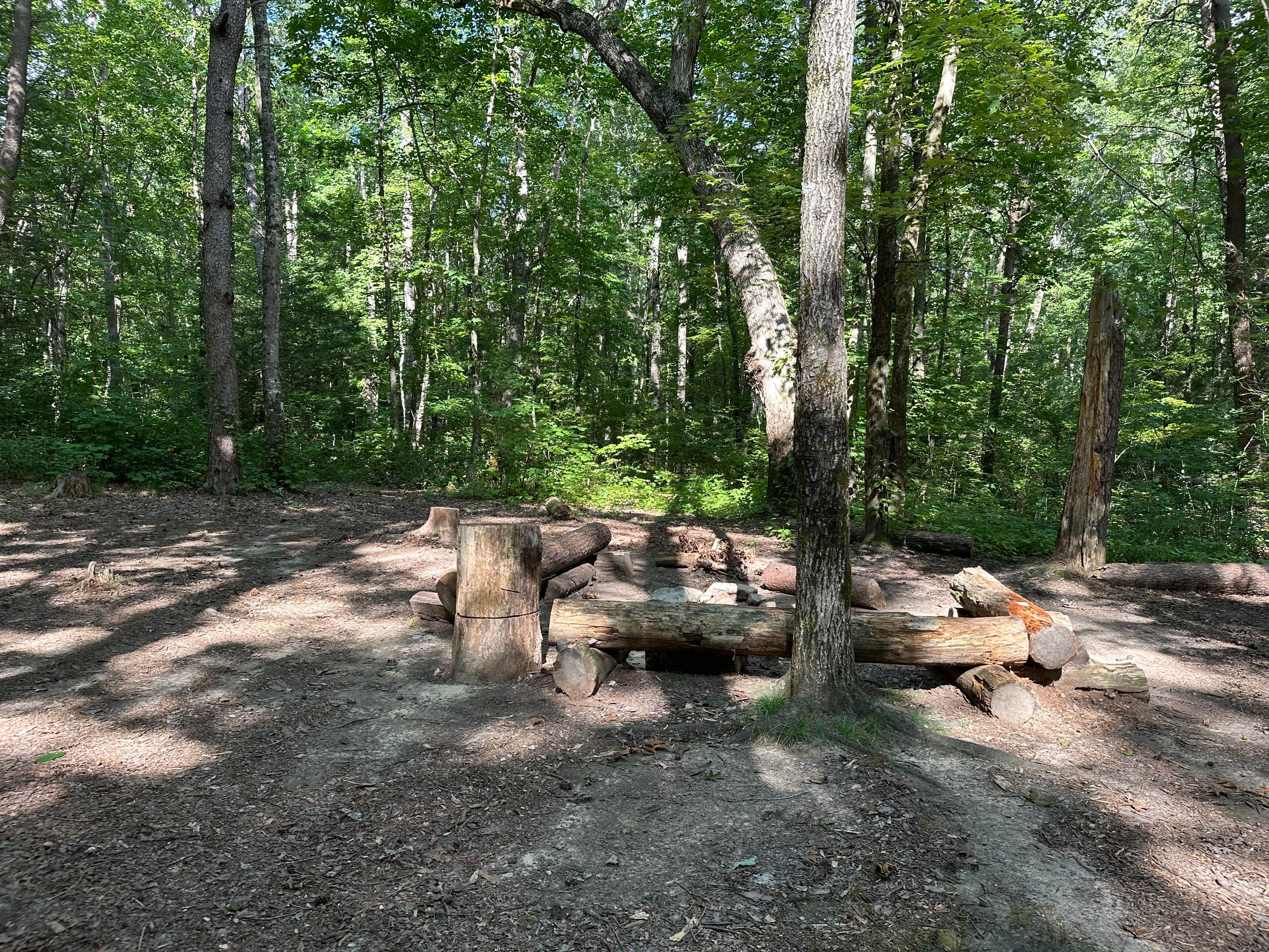Alum Gap Campground — Savage Gulf State Park