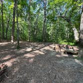 Review photo of Alum Gap Campground — Savage Gulf State Park by Asher K., October 1, 2023