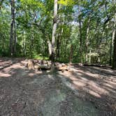 Review photo of Alum Gap Campground — Savage Gulf State Park by Asher K., October 1, 2023