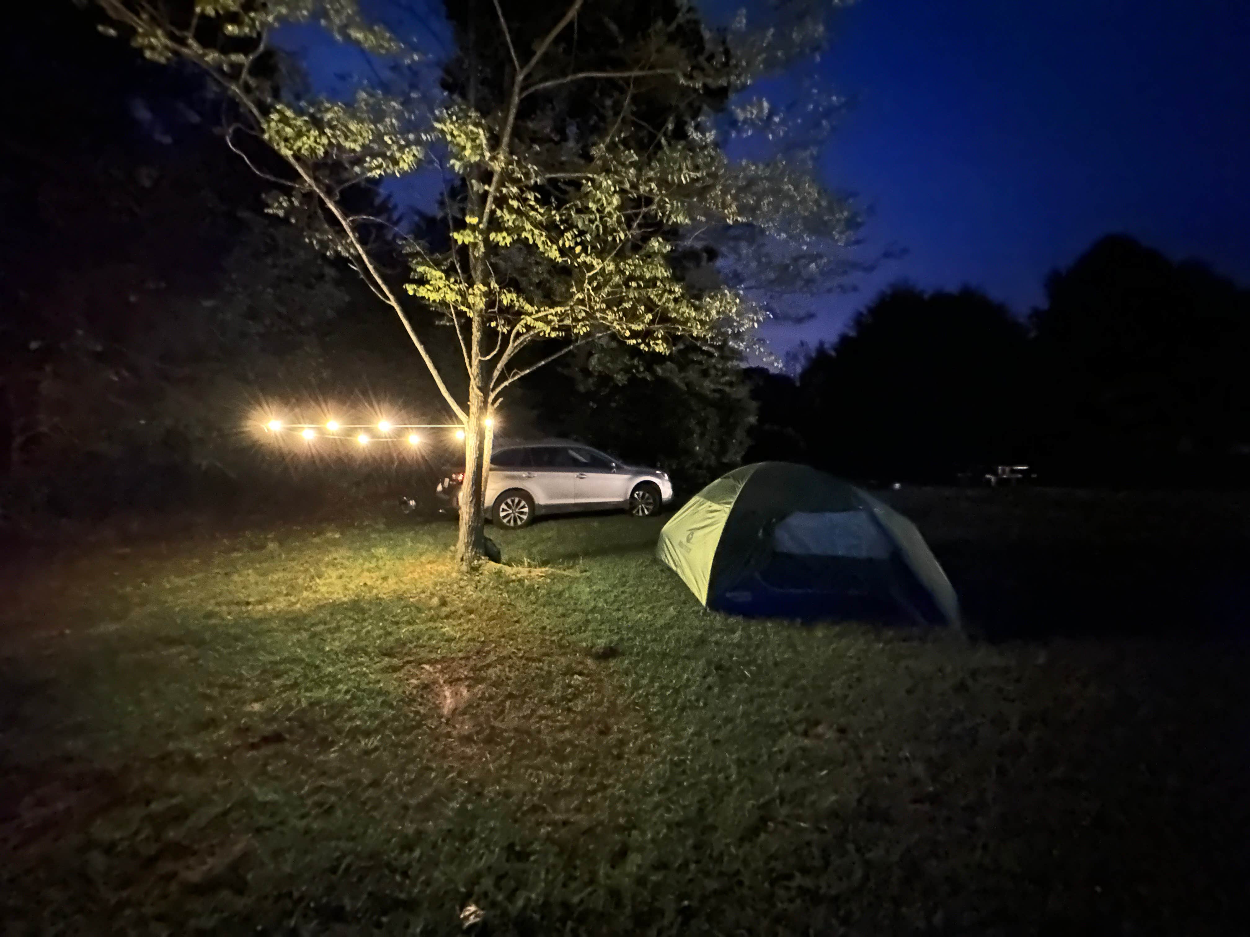 Camper submitted image from Fireside Camp + Lodge - 3