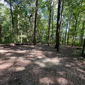 Review photo of Alum Gap Campground — Savage Gulf State Park by Asher K., October 1, 2023