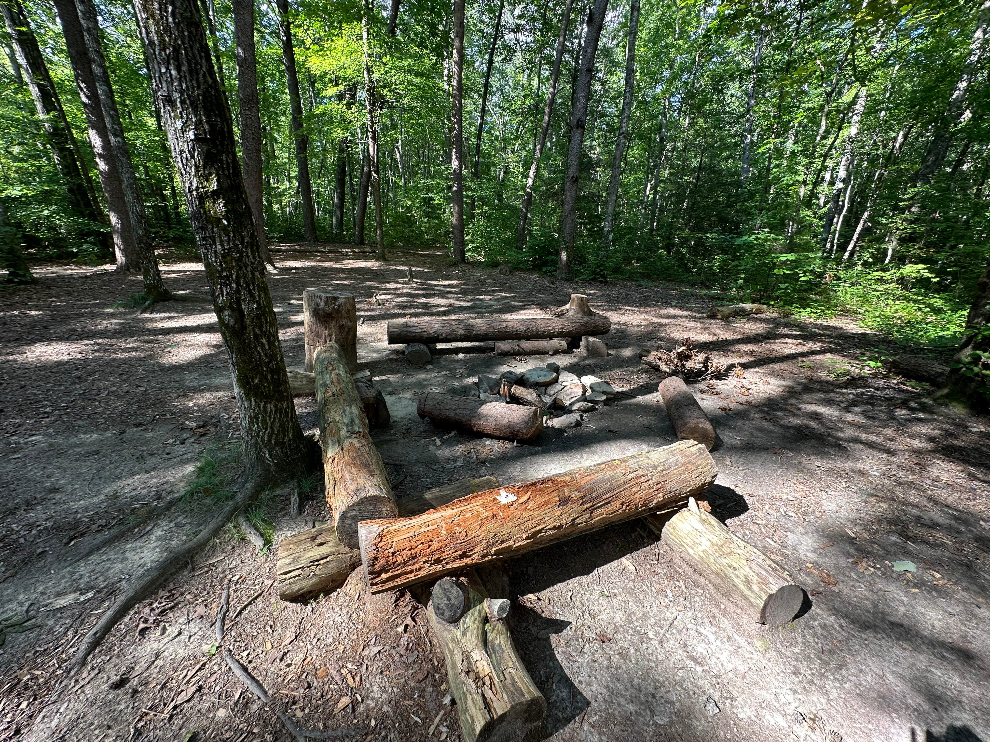 Alum Gap Campground — Savage Gulf State Park