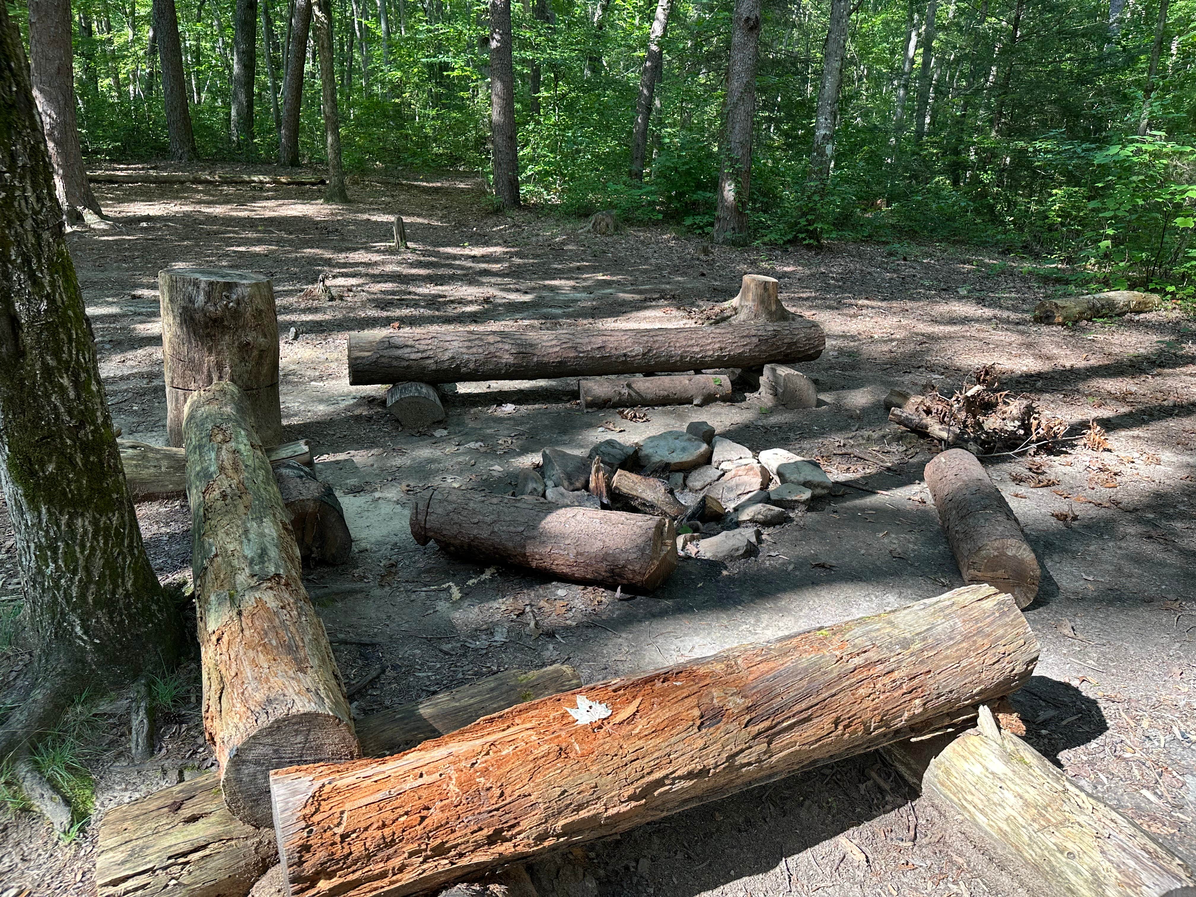 Camper-submitted photo at Alum Gap Campground — Savage Gulf State Park near Gruetli-Laager, TN