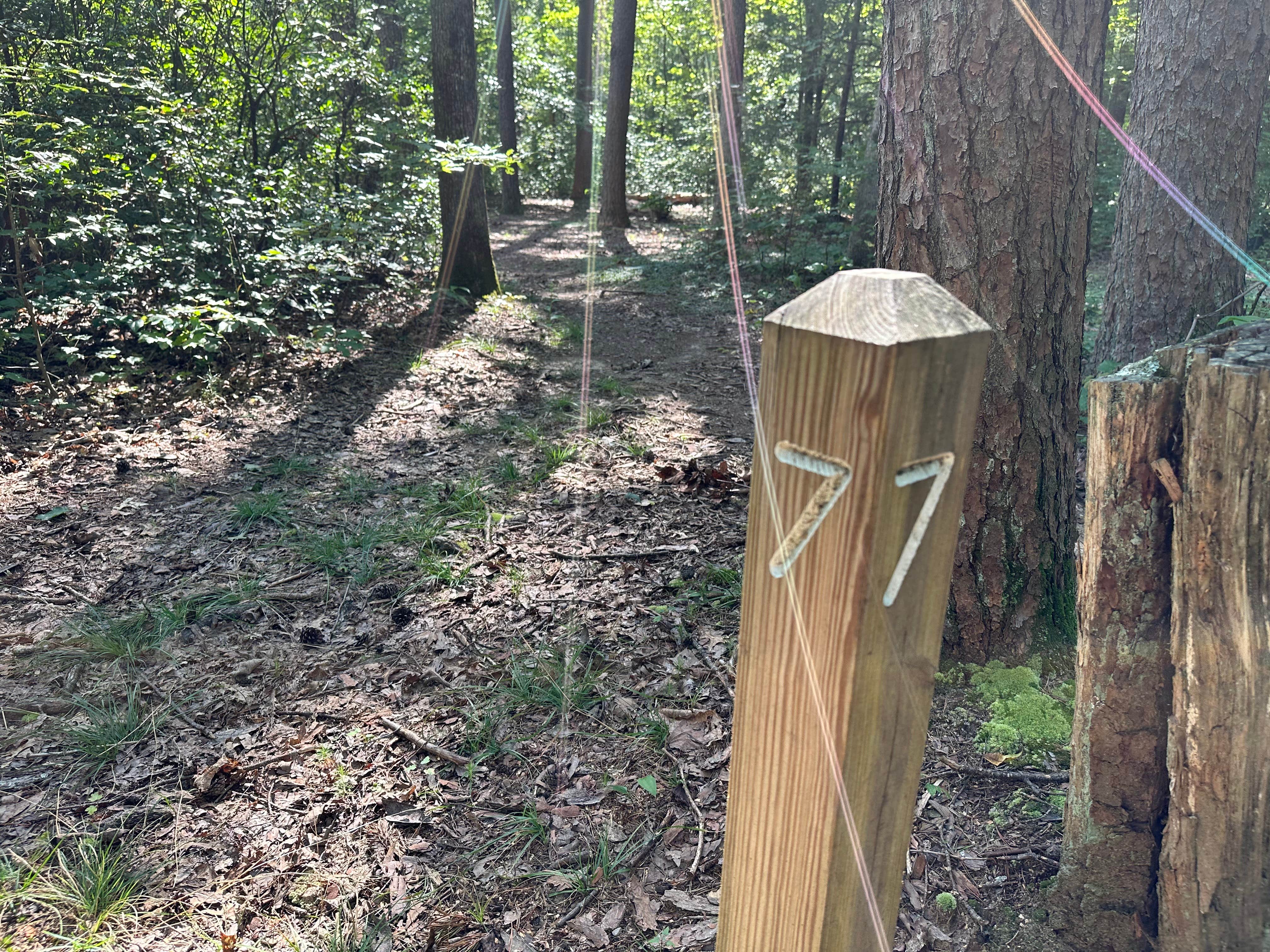 Camper-submitted photo at Alum Gap Campground — Savage Gulf State Park near Signal Mountain, TN