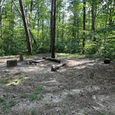 Review photo of Alum Gap Campground — Savage Gulf State Park by Asher K., October 1, 2023