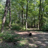 Review photo of Alum Gap Campground — Savage Gulf State Park by Asher K., October 1, 2023