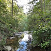 Review photo of Alum Gap Campground — Savage Gulf State Park by Asher K., October 1, 2023