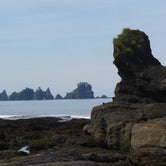 Review photo of Ozette Campground — Olympic National Park by Anthony S., October 31, 2018