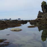 Review photo of Ozette Campground - Olympic National Park by Anthony S., October 31, 2018