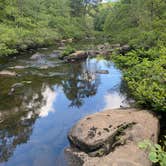 Review photo of DeSoto State Park Campground by Asher K., October 1, 2023