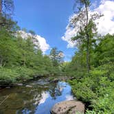 Review photo of DeSoto State Park Campground by Asher K., October 1, 2023