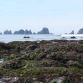 Review photo of Ozette Campground - Olympic National Park by Anthony S., October 31, 2018