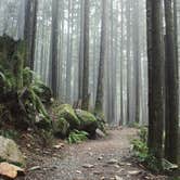 Review photo of Lillian — Olympic National Park by Melani T., October 31, 2018