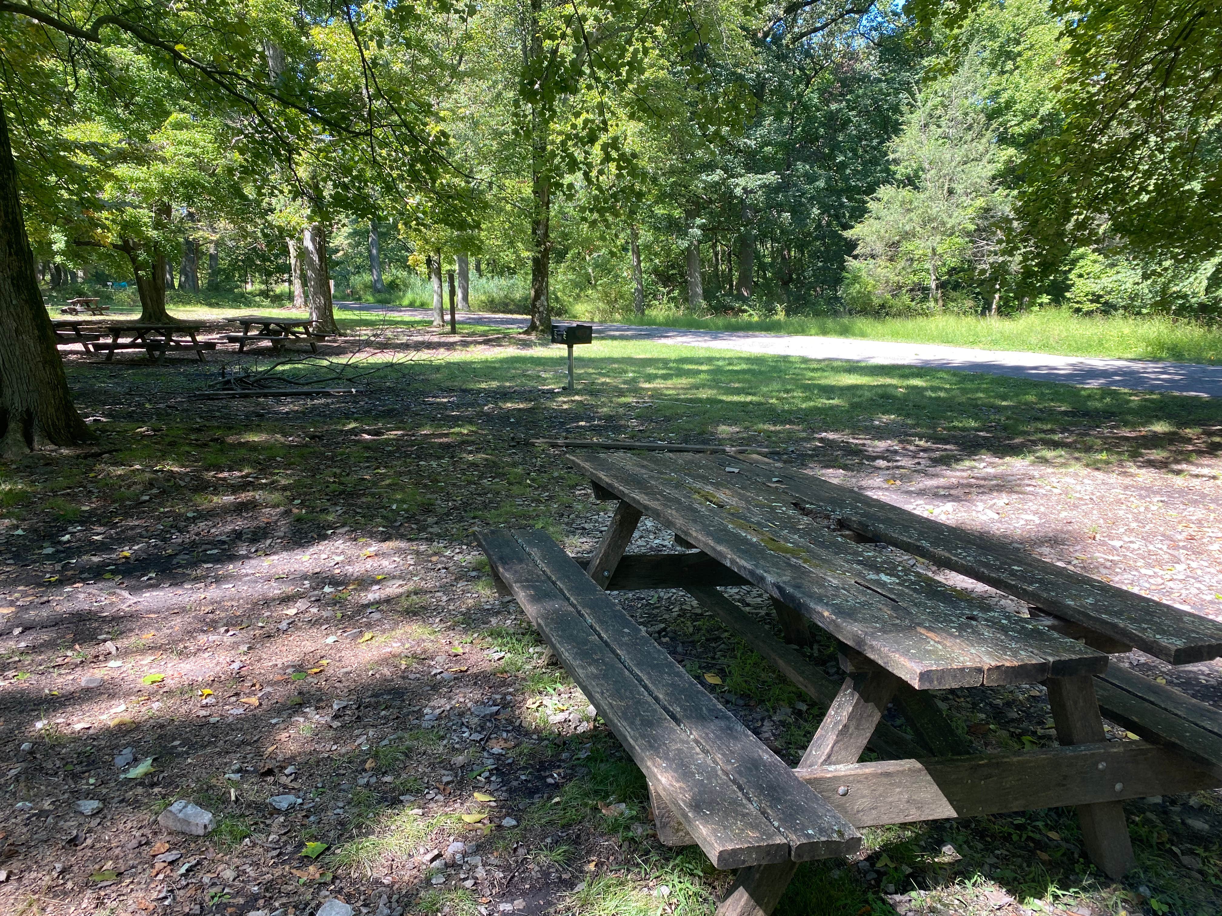 Camper-submitted photo at Fort Washington State Park Campground near Fort Washington, PA