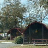 Review photo of Starke-Gainesville NE KOA by Stuart K., October 1, 2023