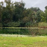 Review photo of Half Shell Resort by Stuart K., October 1, 2023