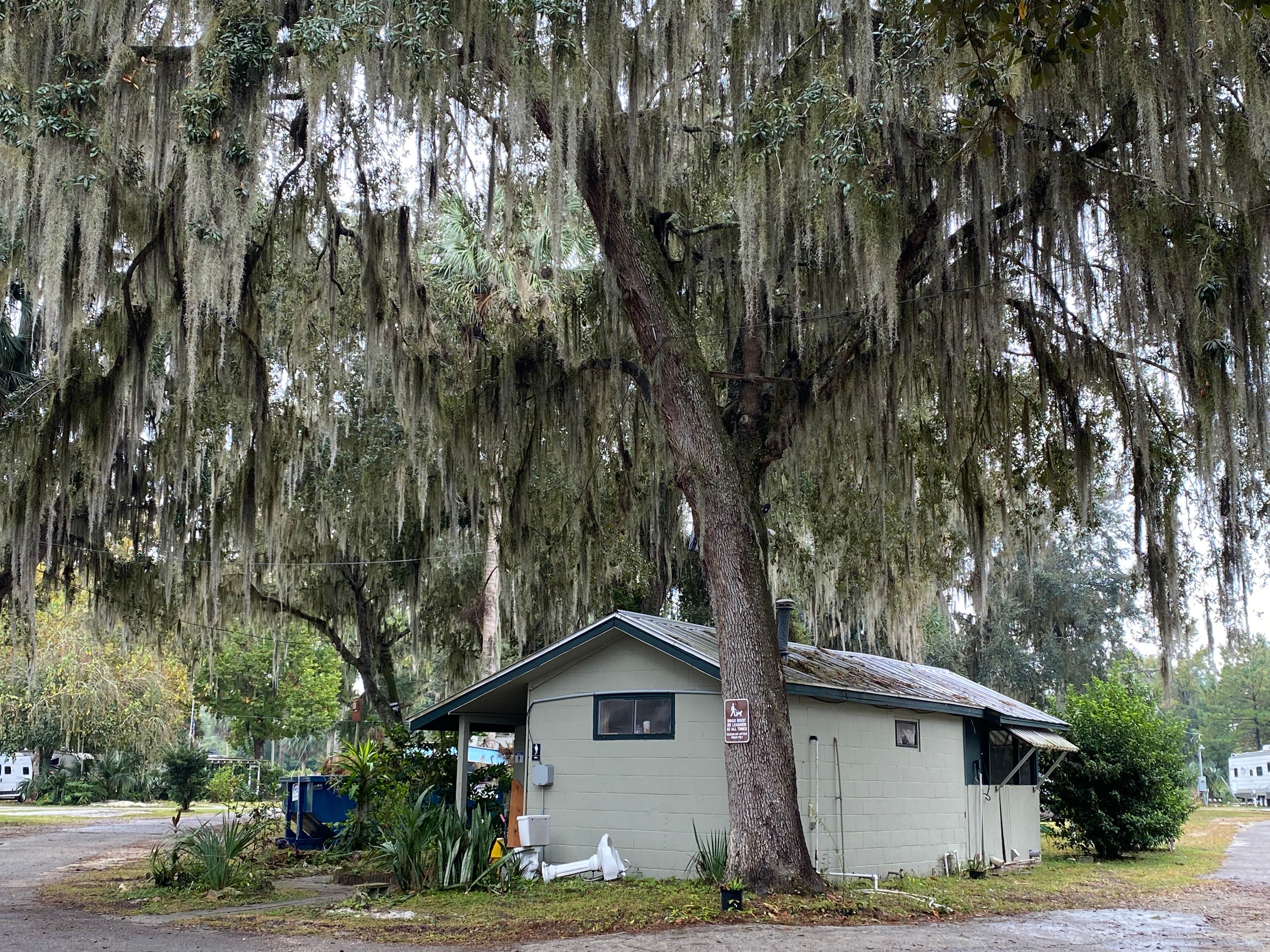 Camper-submitted photo at Half Shell Resort near San Mateo, FL
