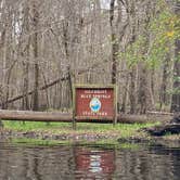 Review photo of Gilchrist Blue Springs State Park Campground by Stuart K., October 1, 2023