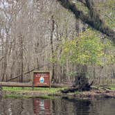 Review photo of Gilchrist Blue Springs State Park Campground by Stuart K., October 1, 2023