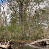 Review photo of Gilchrist Blue Springs State Park Campground by Stuart K., October 1, 2023