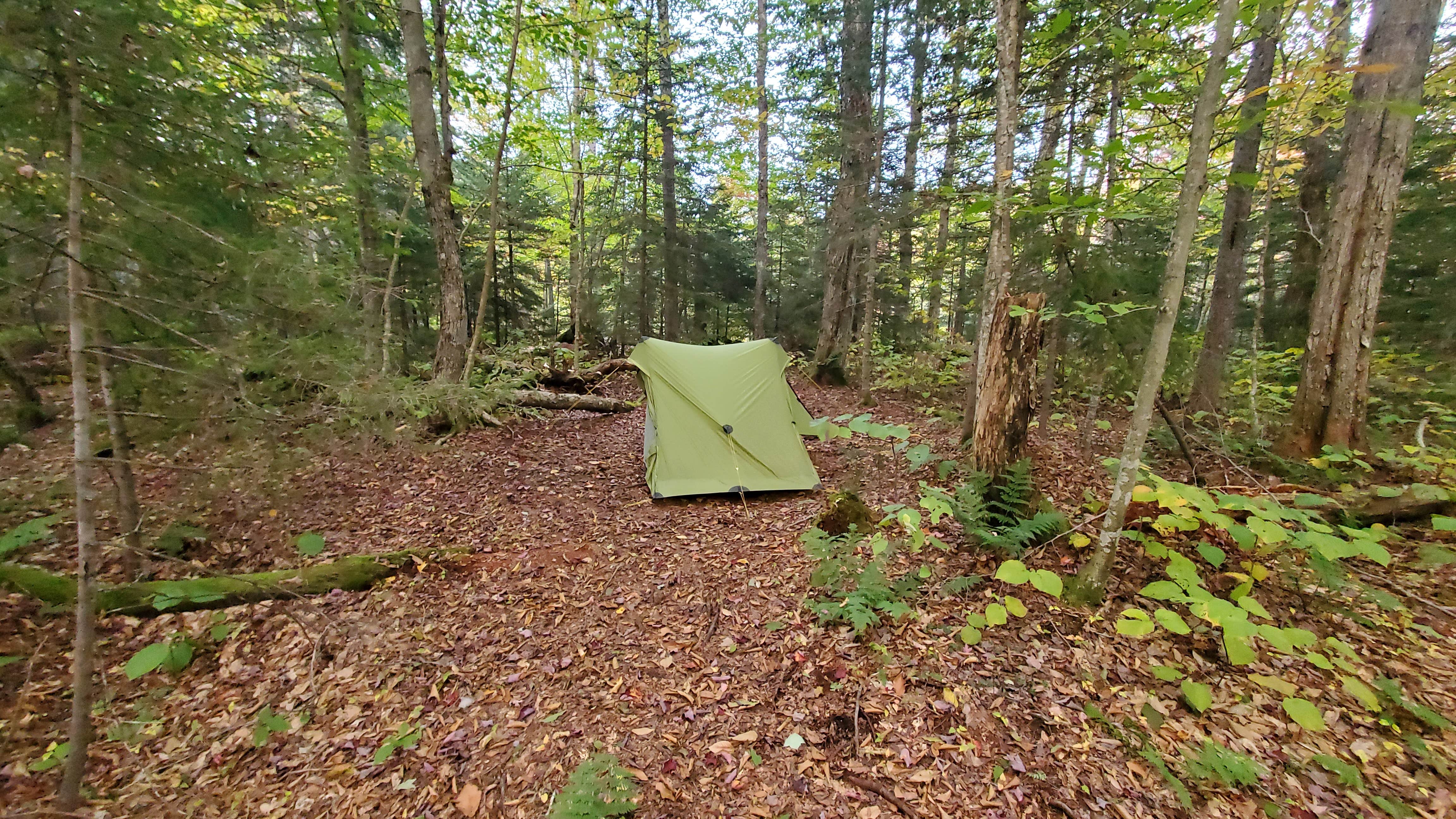 Camping near Fish Creek Pond Campground: Ward Brook Campsite, Ray Brook, New York