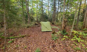 Camping near Rollins Pond Adirondack Preserve: Ward Brook Campsite, Ray Brook, New York