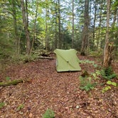 Review photo of Ward Brook Campsite by Alex R., October 1, 2023