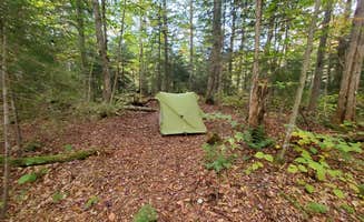 Alex R.'s photo of a dispersed camping area at Ward Brook Campsite near Minerva, NY